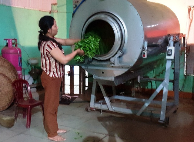 Đào tạo khởi nghiệp nông thôn để người lao động được trang bị kiến thức và công nghệ mới ứng dụng vào sản xuất.