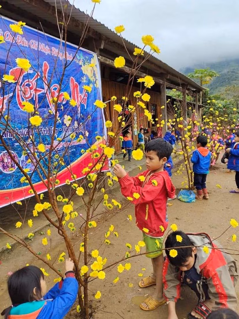 Sân trường rực rỡ sắc xuân.