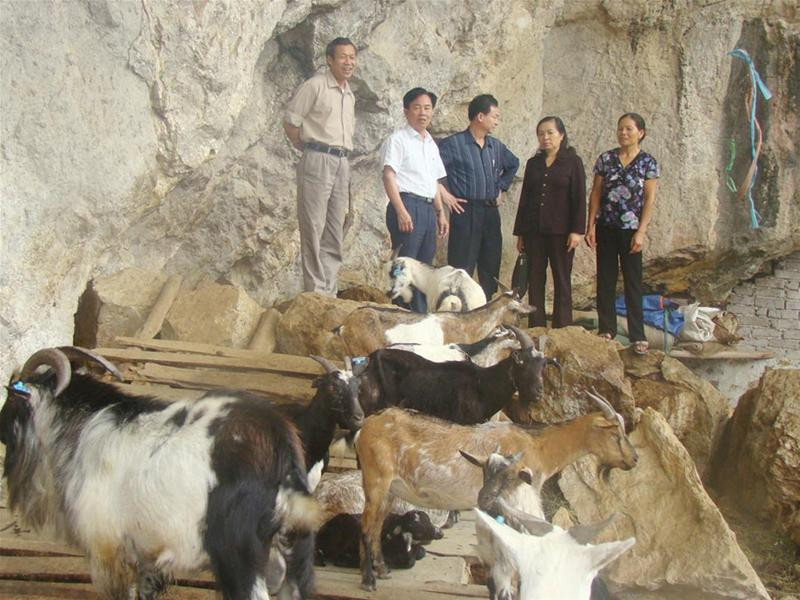 Người nắm giữ những Người nắm giữ những