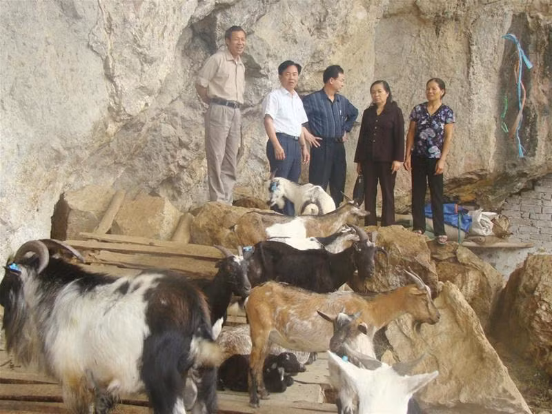 Người nắm giữ những 