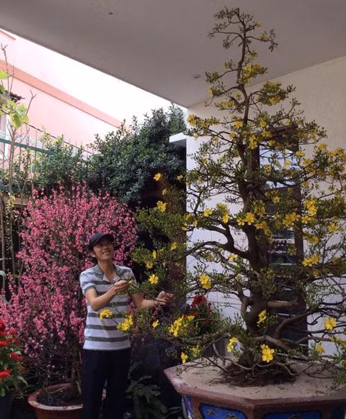 Sao Việt rộn ràng đón tết, du xuân ảnh 1