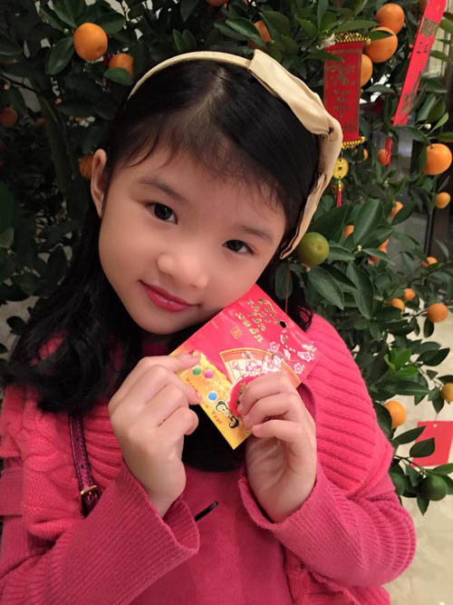 Sao Việt rộn ràng đón tết, du xuân ảnh 10