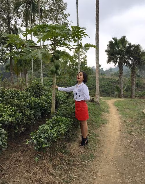 Sao Việt rộn ràng đón tết, du xuân ảnh 6