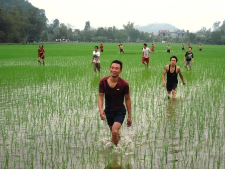 Nam thanh nữ tú chạy đua trên ruộng lúa