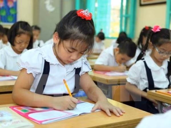 TP Hồ Chí Minh khảo sát năng lực học sinh lớp 3