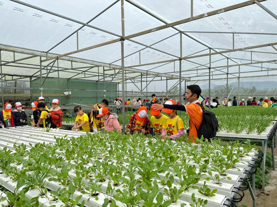 Nhiều học sinh khối lớp 3, Trường Tiểu học Võ Thị Sáu lần đầu tiên được thấy mô hình trồng rau thủy canh. Nhiều học sinh khối lớp 3, Trường Tiểu học Võ Thị Sáu lần đầu tiên được thấy mô hình trồng rau thủy canh.