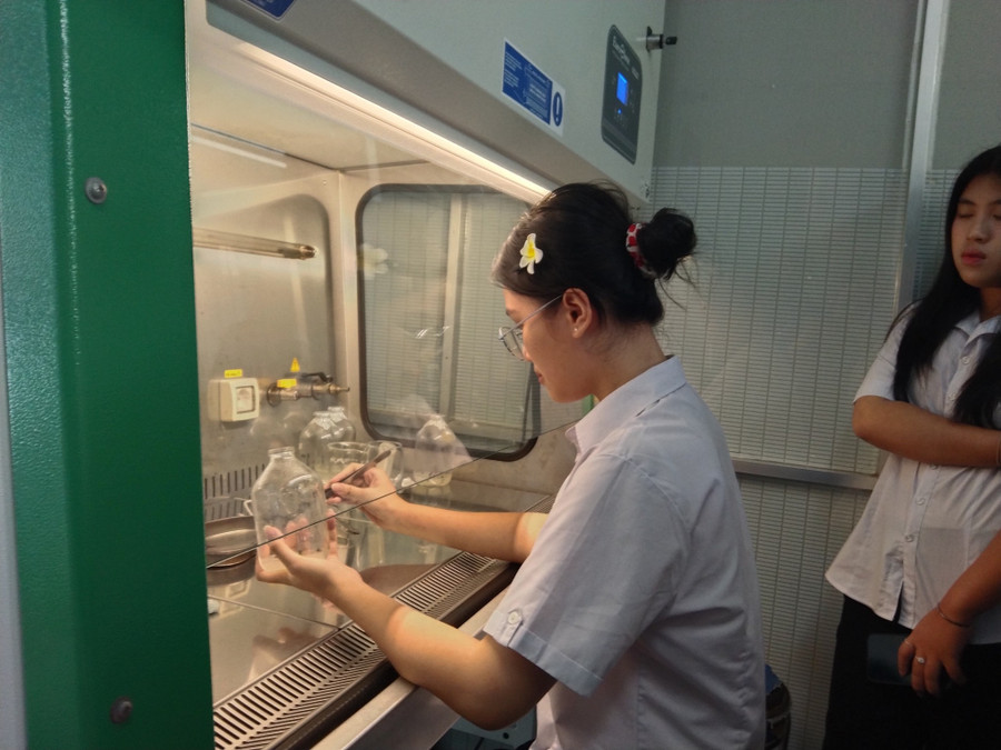 Một học sinh Trường THPT Thanh Khê trải nghiệm phương pháp nuôi cấy tại Trung tâm nghiên cứu thực nghiệm, Khoa Sinh - Môi trường, Trường ĐH Sư phạm, ĐH Đà Nẵng. Một học sinh Trường THPT Thanh Khê trải nghiệm phương pháp nuôi cấy tại Trung tâm nghiên cứu thực nghiệm, Khoa Sinh - Môi trường, Trường ĐH Sư phạm, ĐH Đà Nẵng.