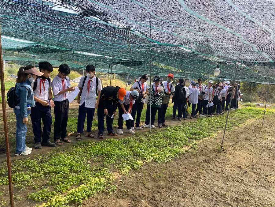 Học sinh Trường THCS Lê Thị Hồng Gấm (Thanh Khê) trải nghiệm mô hình "vườn rau trong phố".