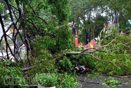TP.HCM: Mua lon, cay do de nhieu nguoi di duong - Anh 3