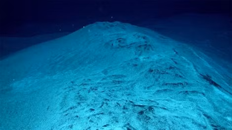 10 điều bí ẩn dưới đáy đại dương gây sốc ảnh 6