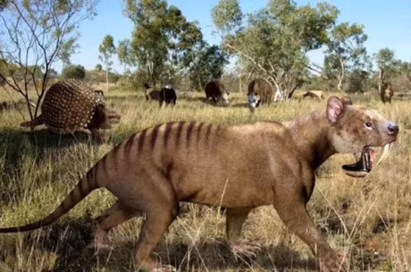 Top 10 su that thu vi ve dong vat co vu - Anh 6