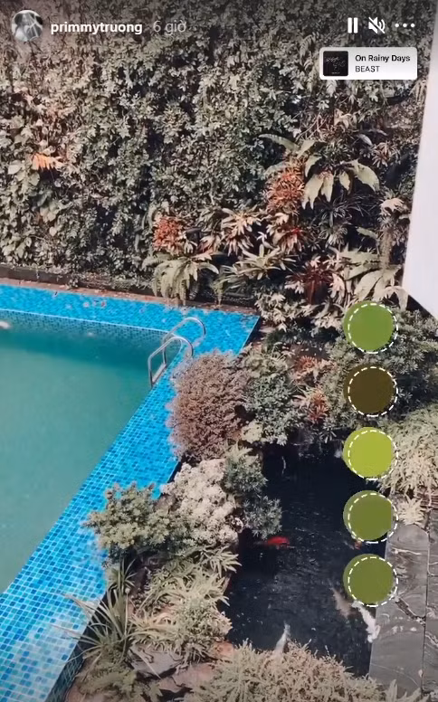 Một góc nhà chồng được Primmy Trương hé lộ.