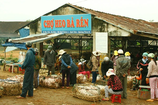 Chuyện đời của những người mưu sinh bằng nghề... bế heo thuê