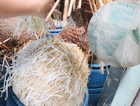 Độc hại như hóa chất làm giá đỗ "siêu tốc" ảnh 2