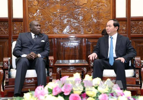 Chủ tịch nước Trần Đại Quang tiếp Đại sứ New Zealand Wendy Irene Matthews. Ảnh: TTXVN