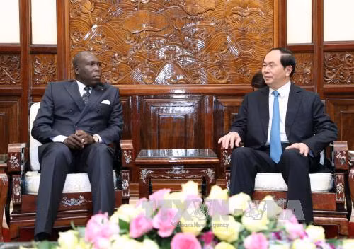 Chủ tịch nước Trần Đại Quang tiếp Đại sứ New Zealand Wendy Irene Matthews. Ảnh: TTXVN