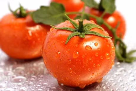 Nhung thuc pham can tranh an khi di xe duong dai ve que trong dip nghi le tet - Anh 1