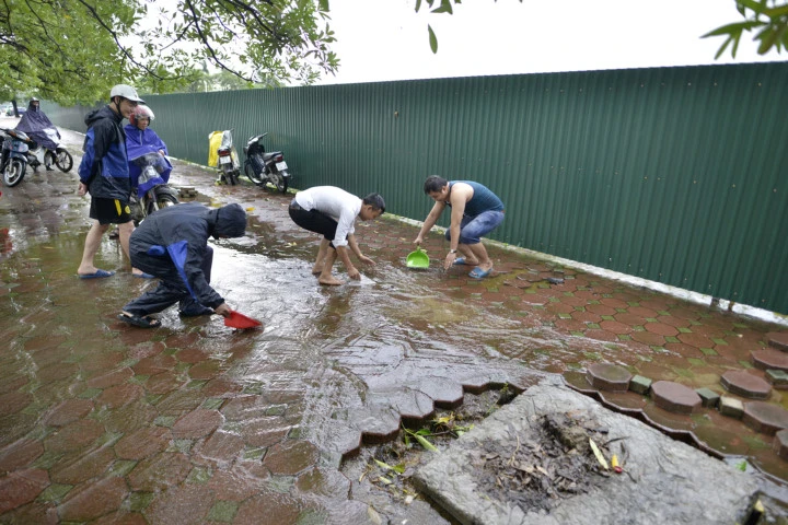 Đánh bắt cá trên vỉa hè, sông hồ sau mưa lớn