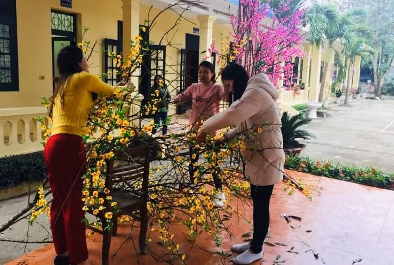 Các cô giáo chuẩn bị cây đào, cây mai đón Tết.