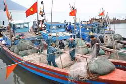 Lập Ban Chỉ đạo về giải pháp ổn định đời sống nhân dân bị ảnh hưởng sự cố môi trường