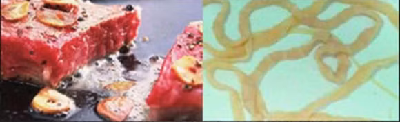 Những hiểm họa trong các món ăn tái - Ảnh 6