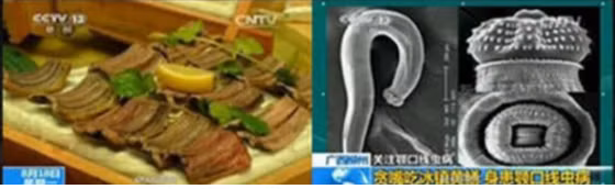 Những hiểm họa trong các món ăn tái - Ảnh 4