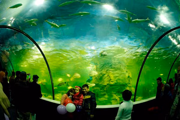 Những địa điểm "ăn, chơi Tết Tây" trên cả nước