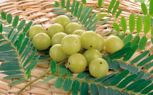 Top 10 loại trái cây có vitamin C cao nhất, giúp tăng khả năng miễn dịch cho cơ thể