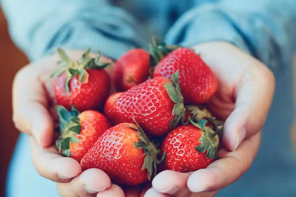 trái cây nhiều vitamin c, vitamin c, bổ sung vitamin c, cách phòng cảm cúm