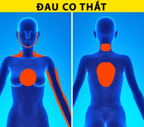 Dấu hiệu nhận biết bạn đang lên cơn đau tim hay chỉ là hoảng loạn ảnh 1 Dấu hiệu nhận biết bạn đang lên cơn đau tim hay chỉ là hoảng loạn ảnh 1