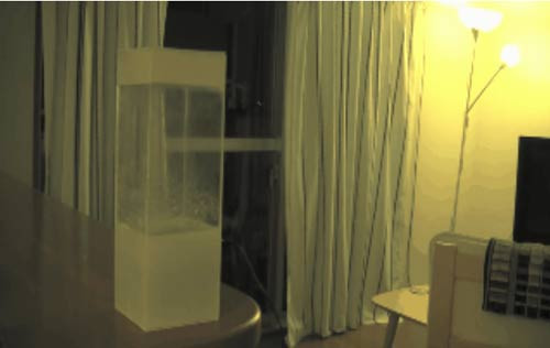 Dự báo thời tiết…từ trong nhà ảnh 2 - 1