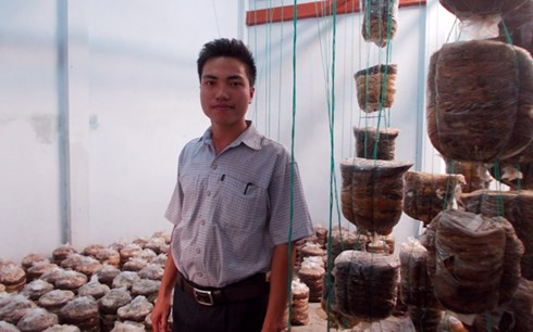 Chàng sinh viên và sáng chế máy chăm nấm bào ngư