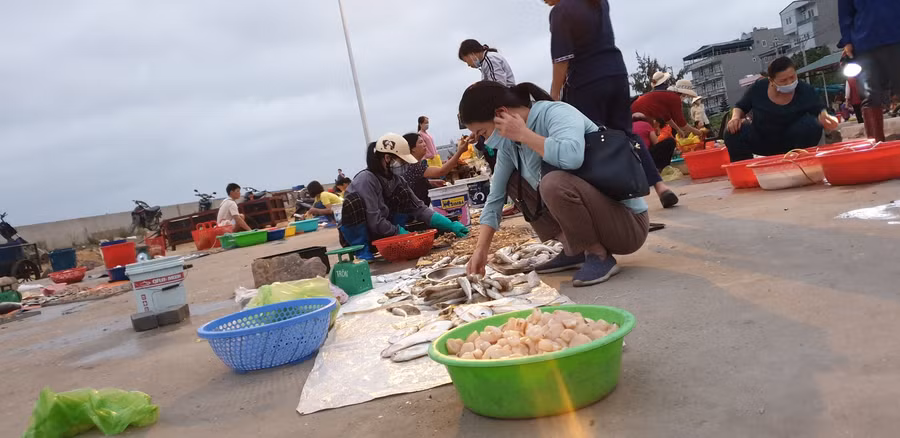 Hải sản tại chợ chủ yếu là sản phẩm do bà con ngư dân trên đảo đi làm đêm về, nhà dùng không hết mang bán
