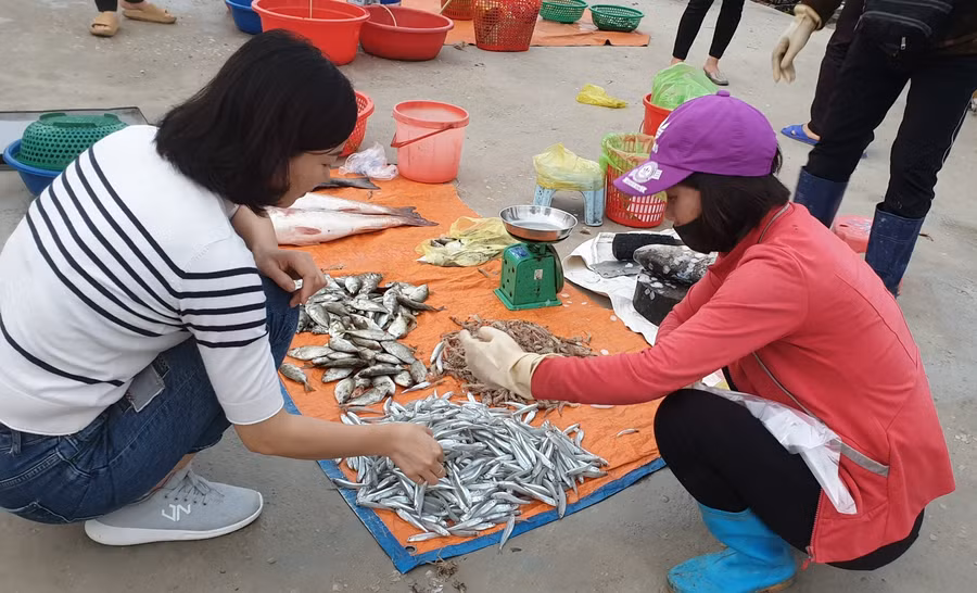 Người bán hàng trên đảo không quen nói thách