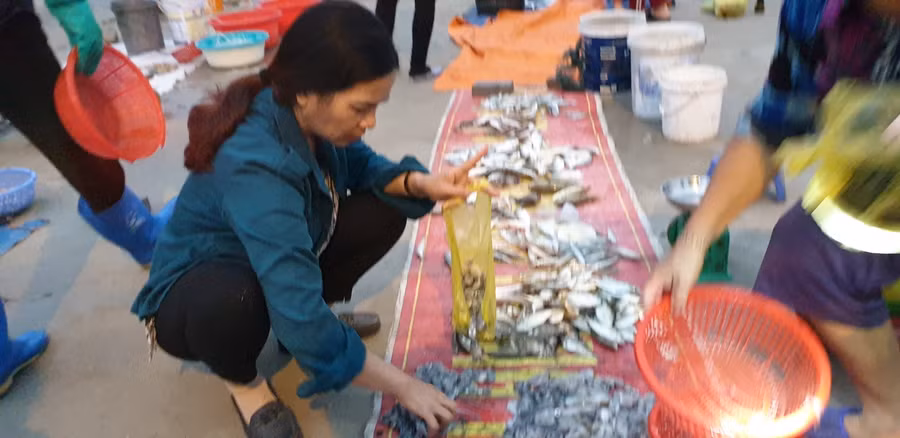 Khách thăm đảo tự tay lựa chọn những mớ hải sản tươi ngon