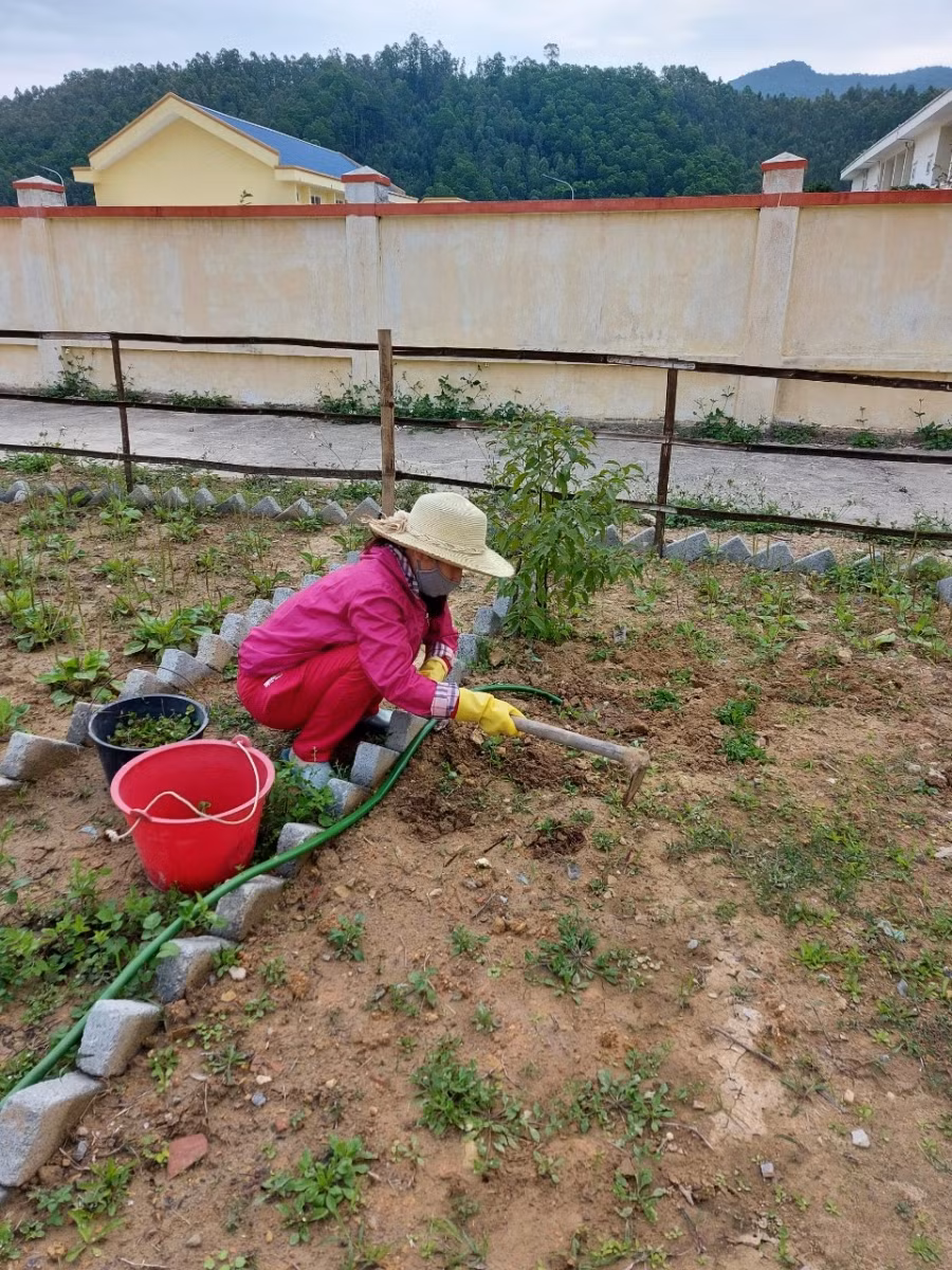 Thầy cô tạo khuôn viên sân trường để đón học trò