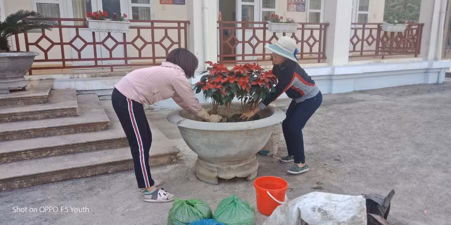 GV Trường PTCS Ngọc Vừng vệ sinh, trồng cây tạo cảnh quan trường lớp