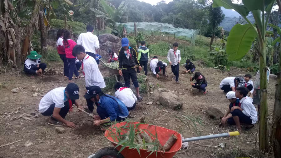 Học sinh Trường Phổ thông dân tộc bán trú THCS Trà Don làm đất để thực hành trồng cây dược liệu dưới tán rừng.
