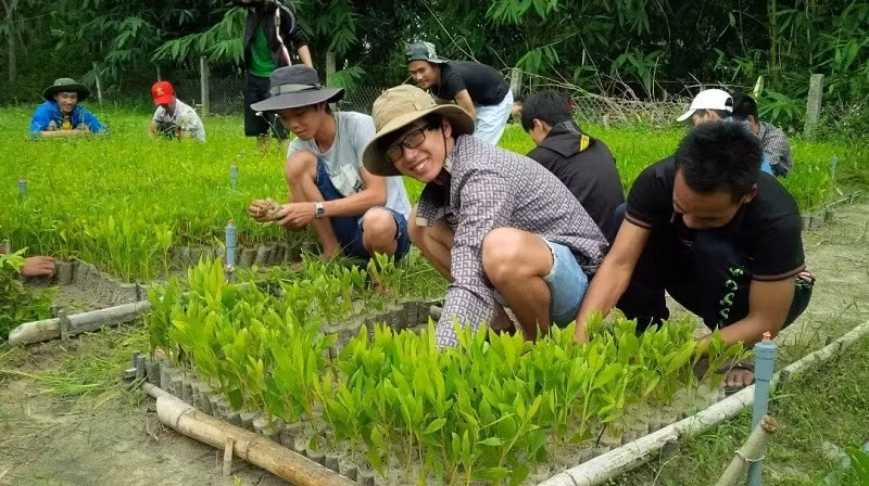 Với những ngành có tính chất đặc thù, chính sách đặt hàng đào tạo nhân lực cần có nhiều sức hút hơn.