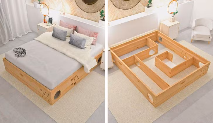 Công ty CatLife đã tạo ra chiếc giường có một mê cung ẩn dành cho mèo. Nó an toàn cho mèo và có thể giúp con vật cưng của bạn được giải trí.