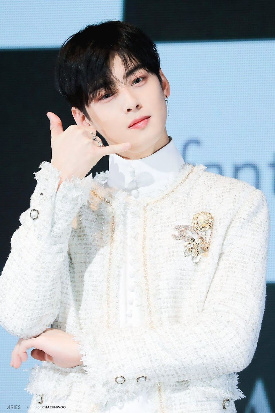 12. Cha Eunwoo (ASTRO): Giọng ca chính và visual của ASTRO, đã nhận được tổng cộng 14.997 phiếu bầu trong cuộc bình chọn! 12. Cha Eunwoo (ASTRO): Giọng ca chính và visual của ASTRO, đã nhận được tổng cộng 14.997 phiếu bầu trong cuộc bình chọn!