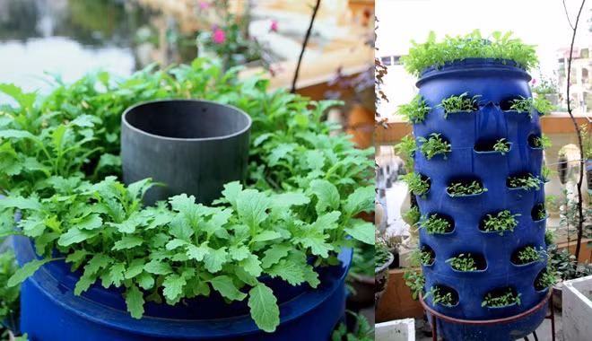 Nhìn là mê 7 kiểu trồng cây sáng tạo bất kể không gian