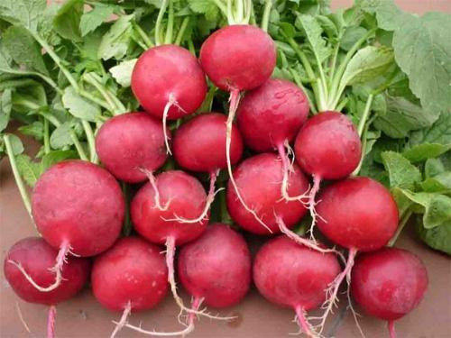 Giai doc co the bang cach an nhieu hon 