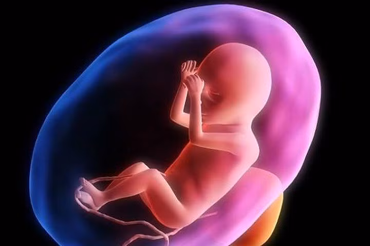 Nghệ An: Cháu bé 28 tuần tuổi chào đời trong bọc nước ối còn nguyên