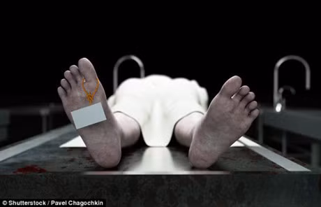 That su co cuoc song sau khi chet? - Anh 1