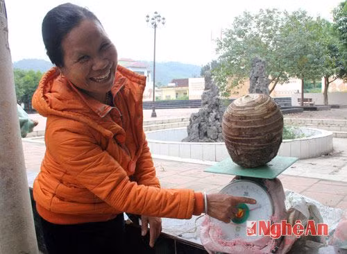 Chuyện kỳ lạ về những củ khoai độc nhất vô nhị ảnh 8