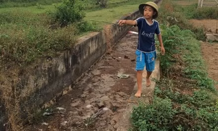 Hiện trường nơi phát hiện cháu bé sơ sinh.