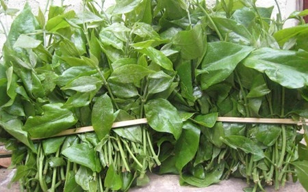 Những loại rau giá cao hơn thịt “đắt xắt ra miếng“ ảnh 2 Những loại rau giá cao hơn thịt “đắt xắt ra miếng“ ảnh 2