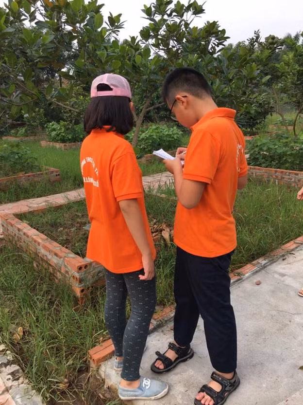 Cùng làm việc nhóm nghiên cứu thực vật