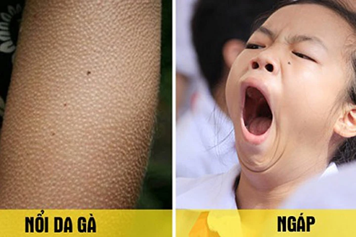 Hãy cảm ơn cơ thể con người vì những cách tự vệ kỳ lạ và và đặc biệt này